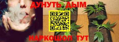 шишки Балахна