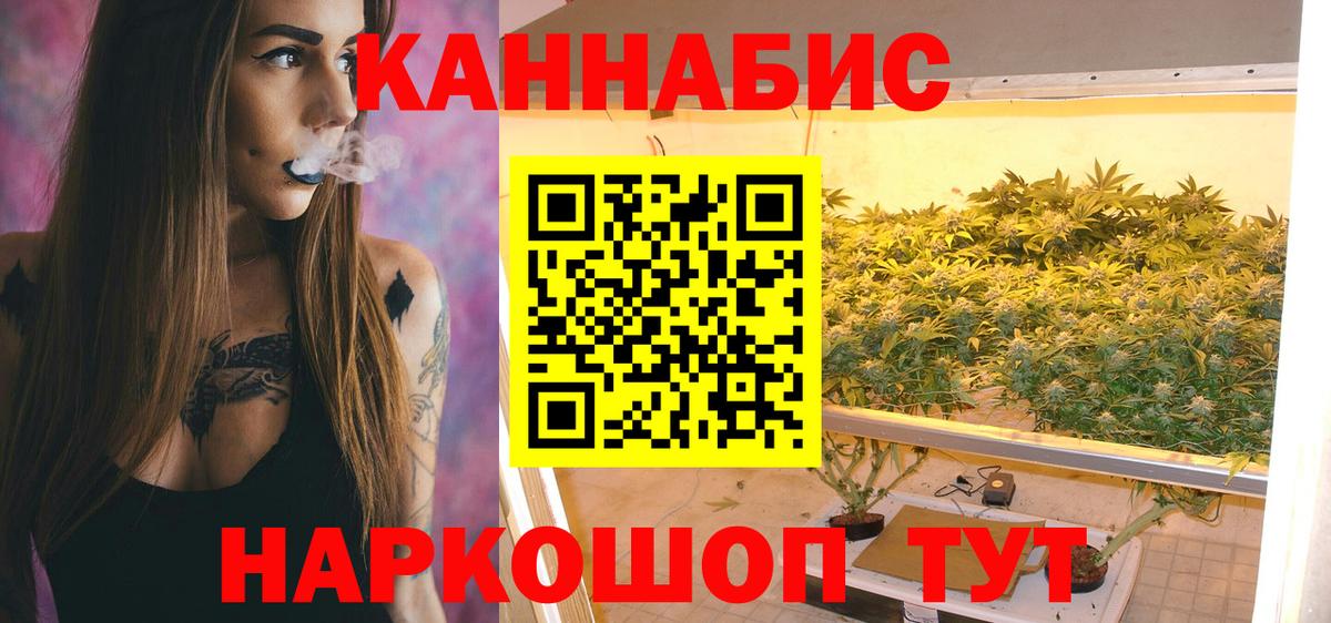 Канабис ГИДРОПОН  Конопля VHQ  Шишки марихуана тримм  Бошки марихуана план  Гудермес  Вход с VPN 